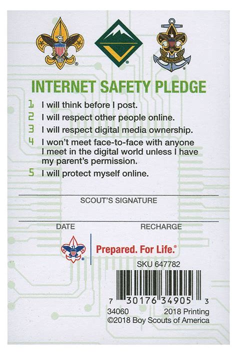 BSA Cyber Chip Requirements .